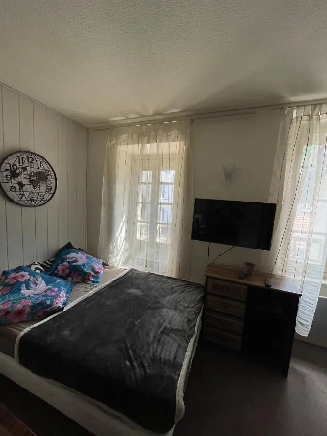 Superbe Appartement Au Bord De La Riviere Ax-les-Thermes 0*,